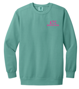 School Initial Comfort Colors Sweatshirt